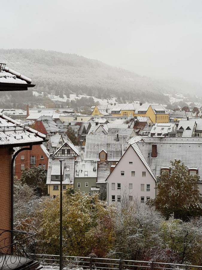 Ferienwohnungen Albstadt Ngoại thất bức ảnh