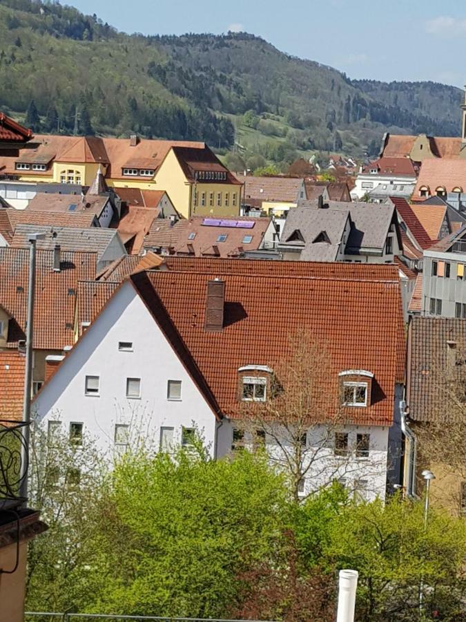 Ferienwohnungen Albstadt Ngoại thất bức ảnh